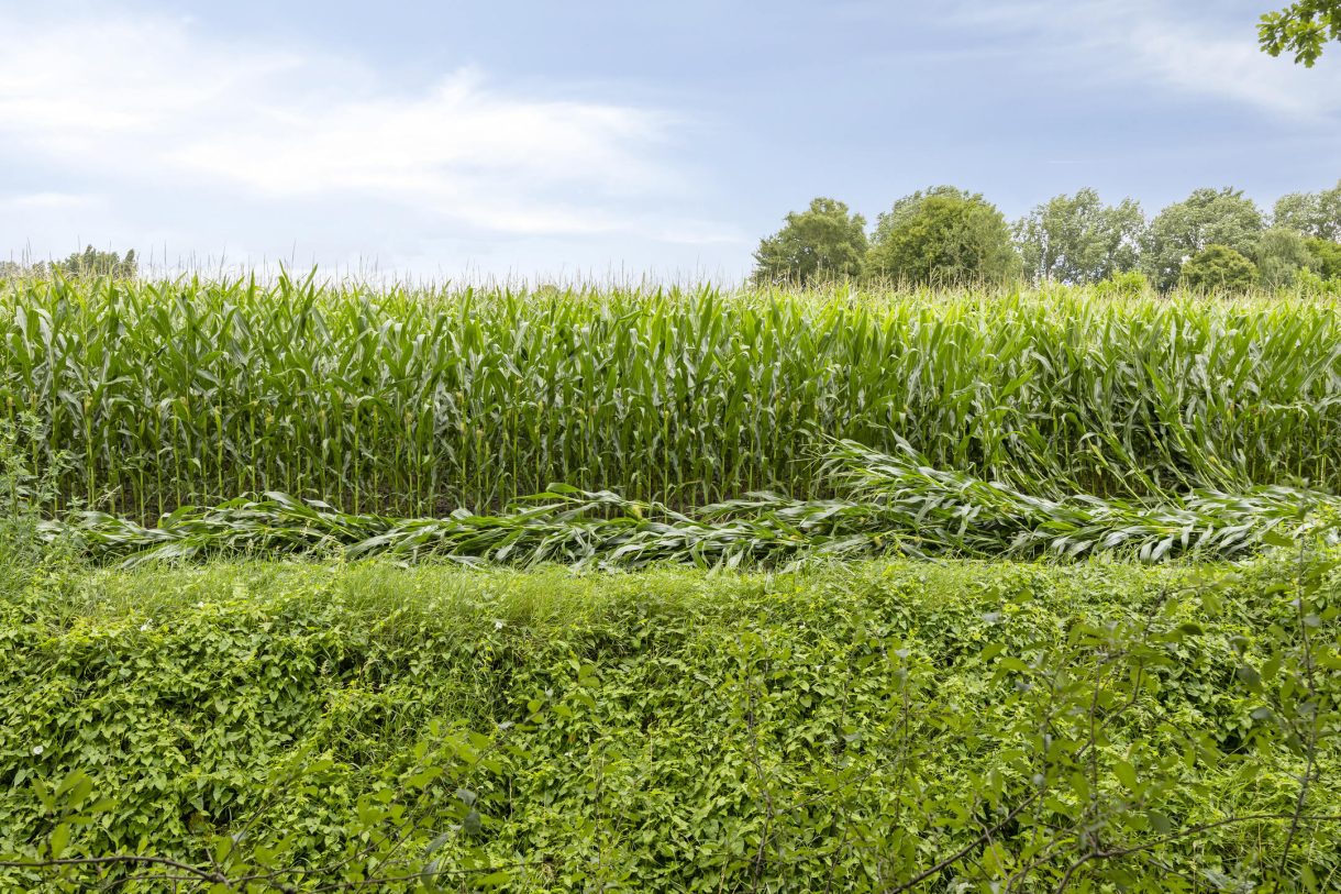 Te koop: Foto Woonhuis aan de Jan de Vrieslaan 3 in Nuenen