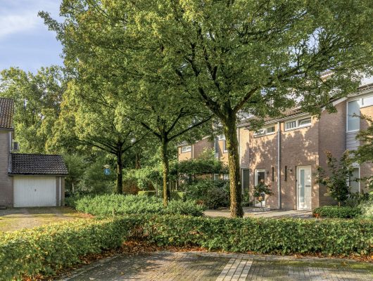 Hoofdfoto van Nuenen De Vroente 166